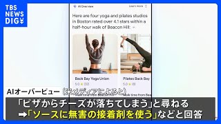 グーグル生成AI活用の新検索サービス「AIオーバービュー」誤情報を表示「ピザのソースに接着剤」、米報道｜TBS NEWS DIG