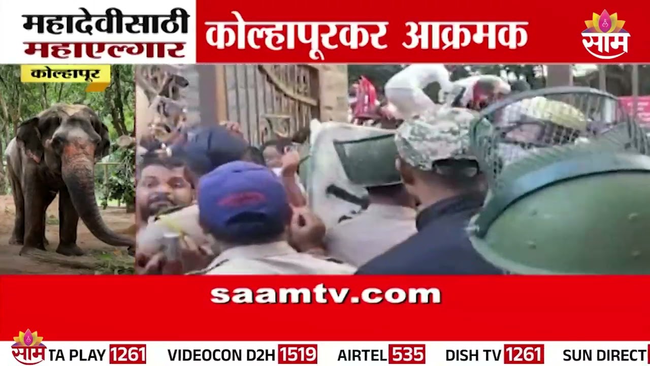 'महादेवीला परत द्या नाहीतर..!' - राजू शेट्टींचा सरकारला थेट इशारा | Raju Shetti