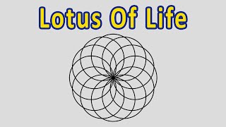 How To Draw The Lotus Of Life  Sacred Geometry