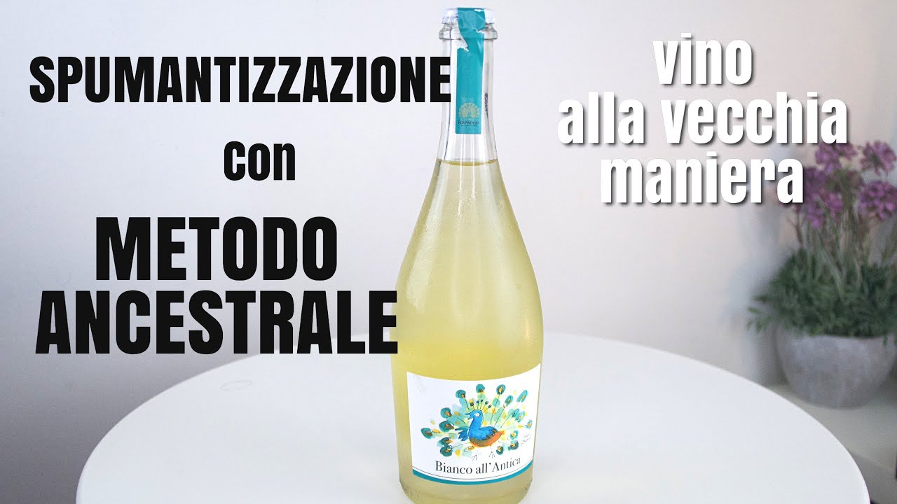 METODO ANCESTRALE 🍾  SPUMANTIZZAZIONE DEL VINO CON METODO ANTICO CHE STA ANDANDO DI GRAN MODA !