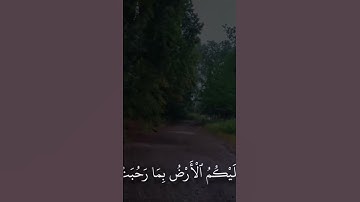 القران الكريم تلاوة ماهر المعيقلي سورة التوبه #المصحف #اكسبلور  #راحة_نفسية