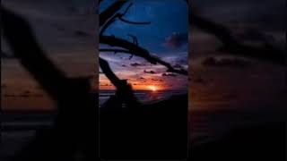 Lagi ngejar apa?           #doa #pahala #dosa