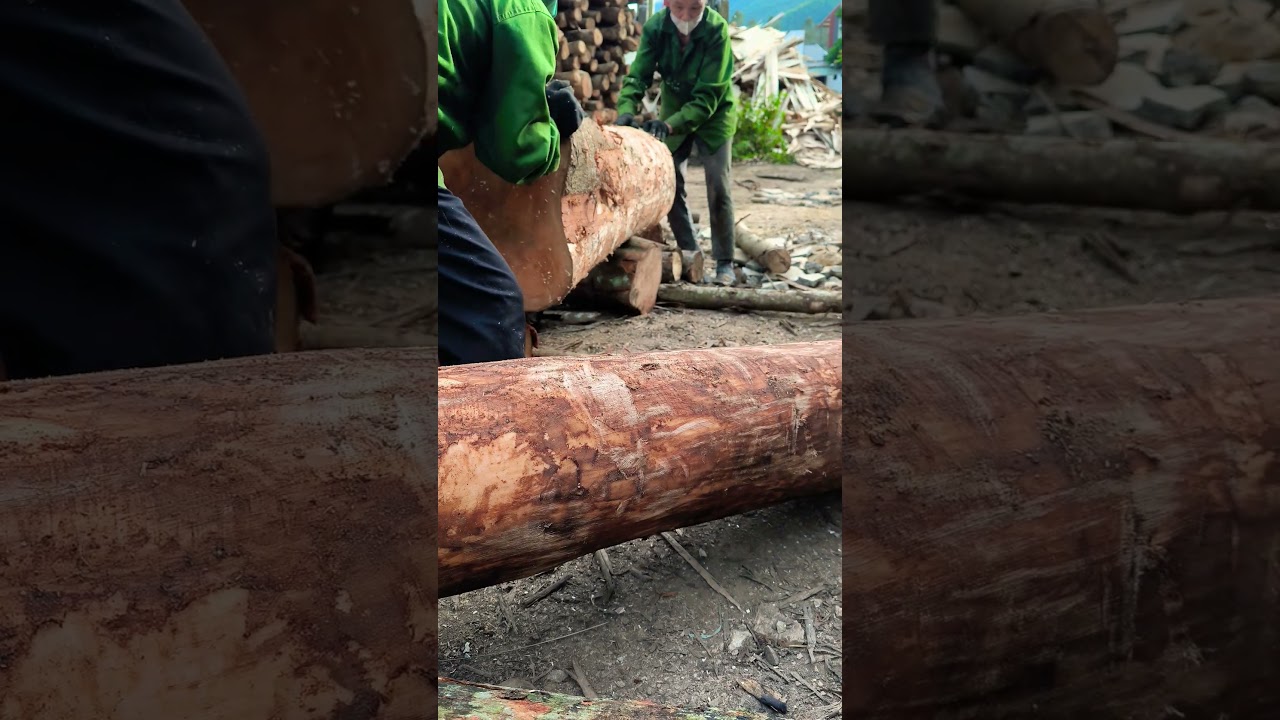Супербольшое красное бревно 