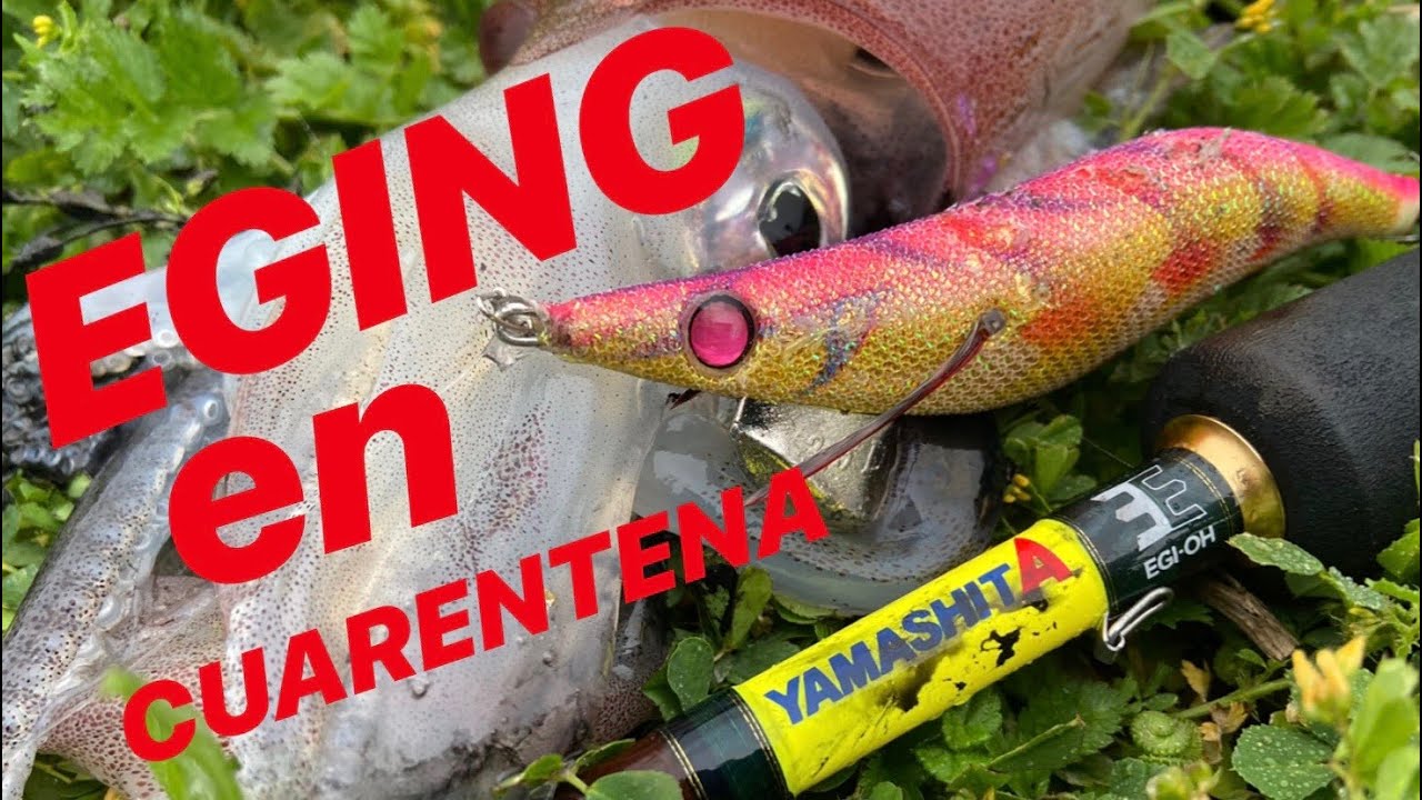 EGING en CUARENTENA estrenando la EGIDO