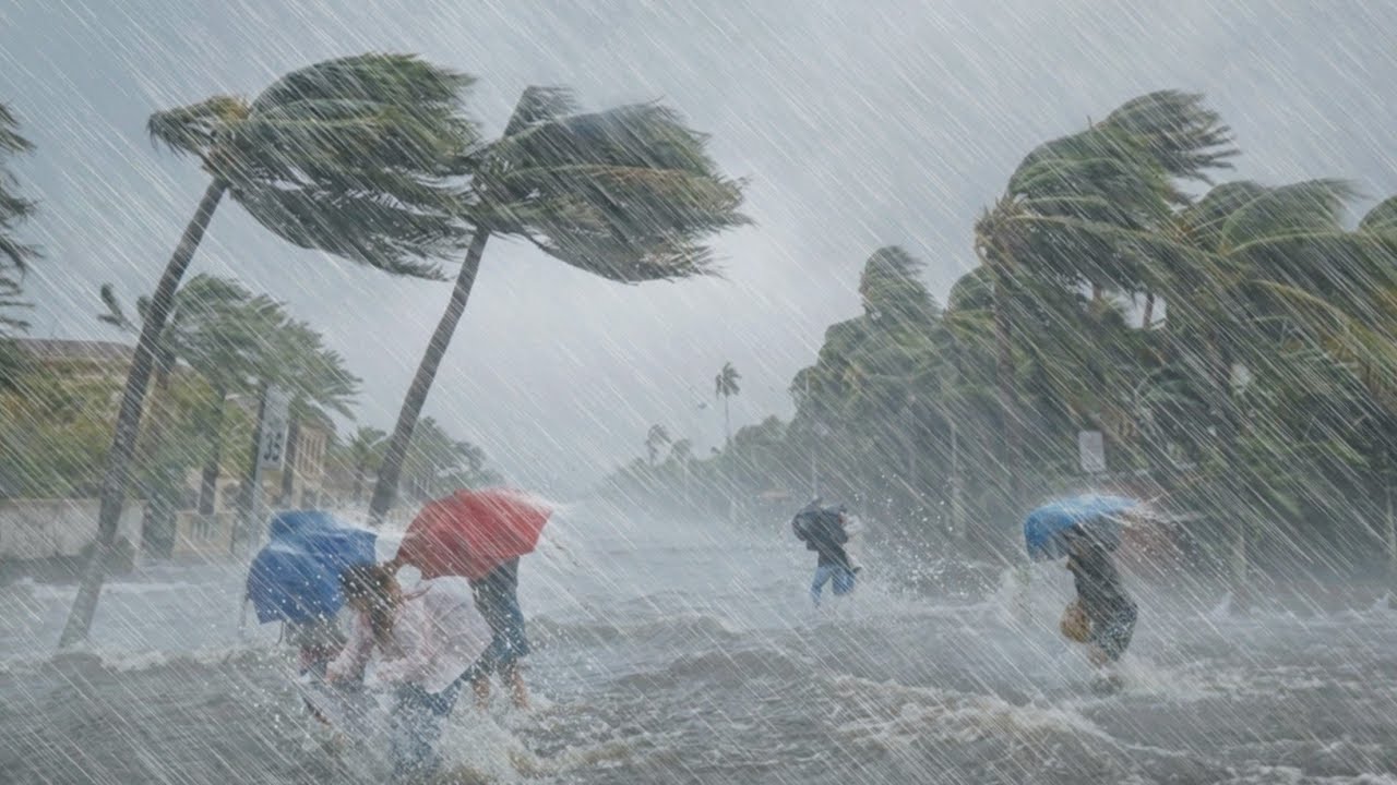 Жизнь в отдаленной азиатской деревне во время тайфунов: райский уголок в сезон дождей