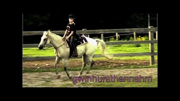 Bleeding Out an Equestrian Mep