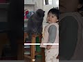 Cat and kid #cat #kids #funny #animals #cute