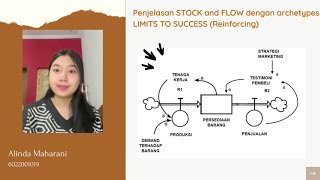Systems Thinking: Stock and Flow Diagram & Limits to Success Archetype (Group4)