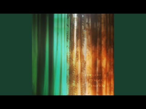Desolate Horizons — I Thought I'd Never Find You
