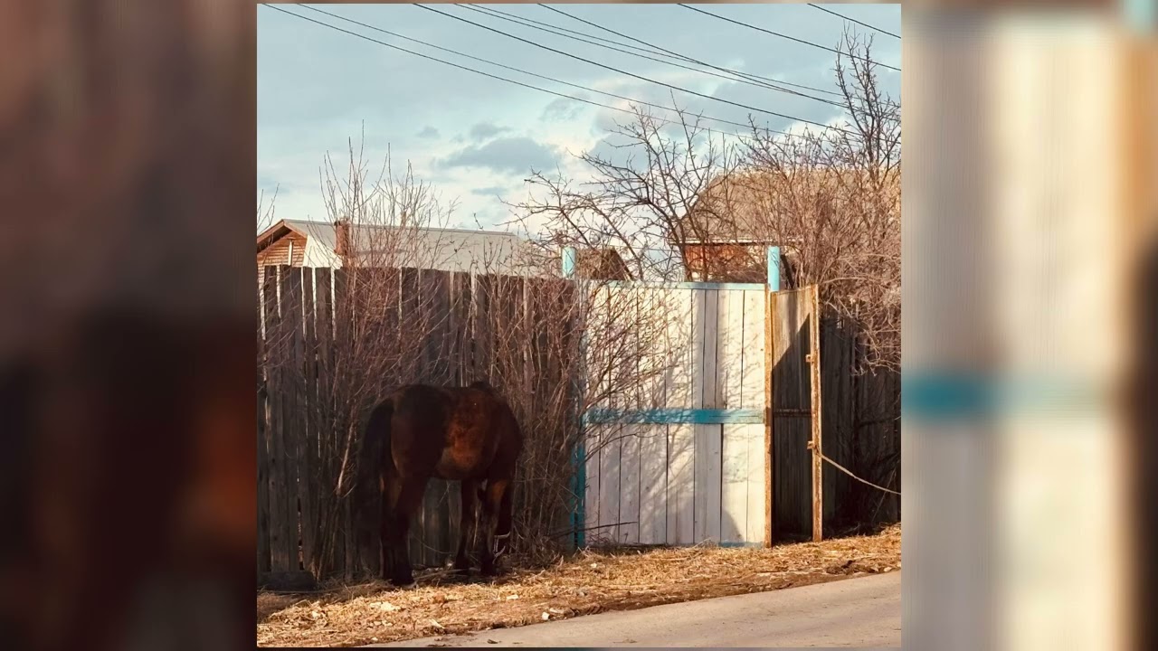 Ilya Djachenko - Fading Lights (Official Audio)