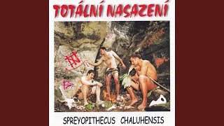 Vzpamatuj se!