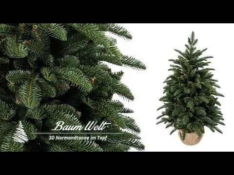 Product video