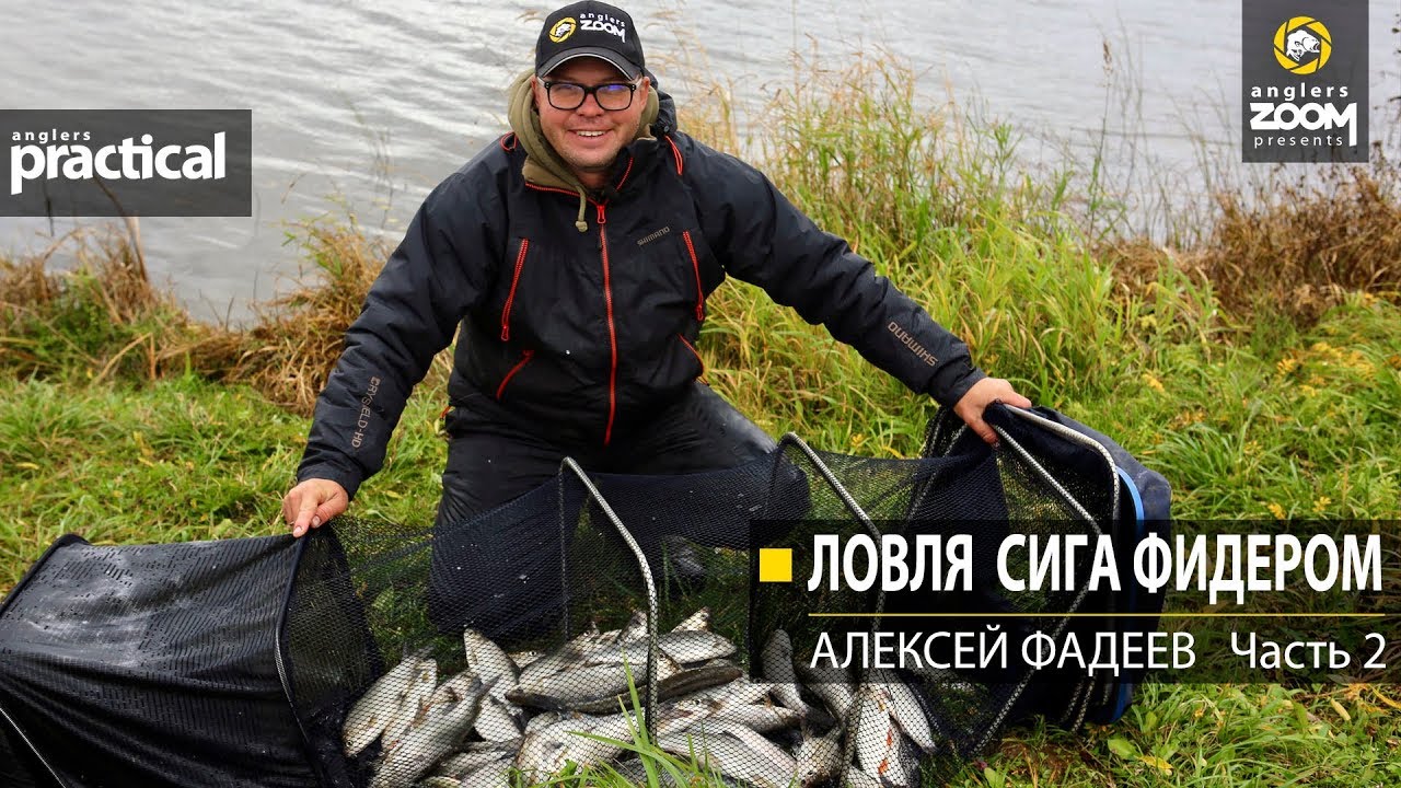 Ловля сига фидером. Алексей Фадеев. Часть 2. Anglers Practical