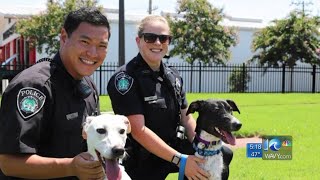 Peninsula Regional Animal Shelter remembers Newport News Police Officer Katie Thyne