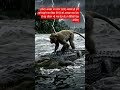 जीत उसी की होगी जो अवसर को पहचान लेगा motivational video #motivationalstatus #inspirationalgoals