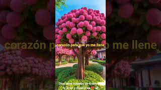 que Dios te conceda sabiduría conocimiento y entendimiento esta hermosa reflexión es para ti#amor❤️🏡