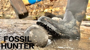Rocks CRACKED Open To Reveal Fossils! | Fossil Hunter