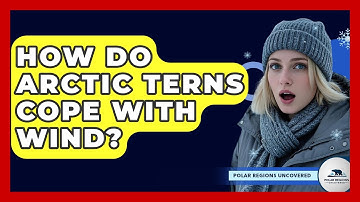 How Do Arctic Terns Cope With Wind? - Polar Regions Uncovered