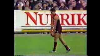 Essendon v St.Kilda, 1990. Edited highlights. Featuring some ripper goals!