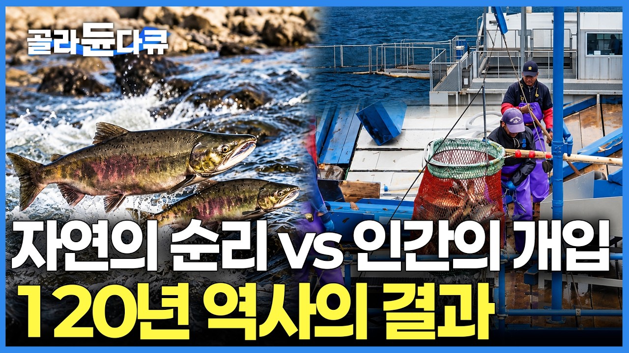 Latest Title & Thumbnail