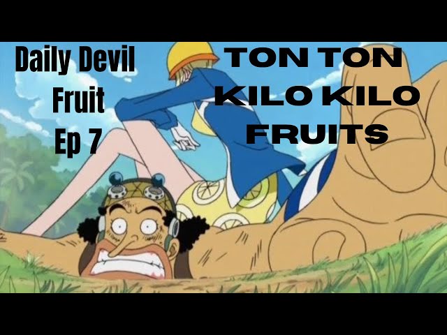 Ton Ton Fruit - Ton Ton no Mi - One Piece Devil Fruit 