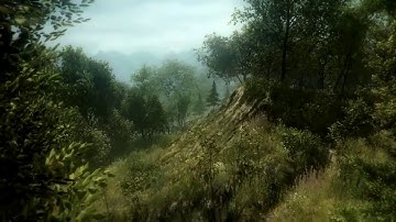 Speedtree Criando Vegetação para Jogos e Maquete Eletrônica #lumion #ue4