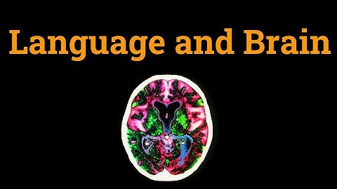 Language and the Brain