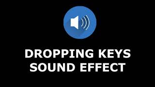 Dropping Keys Sound Effect