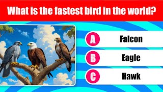 Can You Pass This Birds Quiz? Take This 30-Question Birds Quiz! screenshot 3