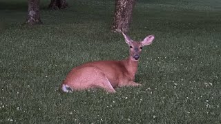 Forget Your Love at The Riegelsville Inn
