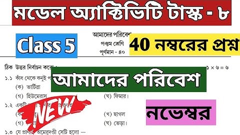 Class 5  Poribesh(আমাদের পরিবেশ) Model Activity Task Part 8 November