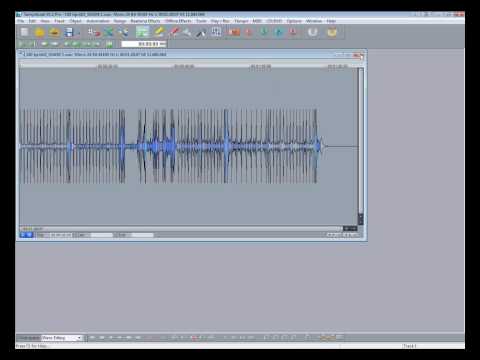 Samplitude Basics 55:File