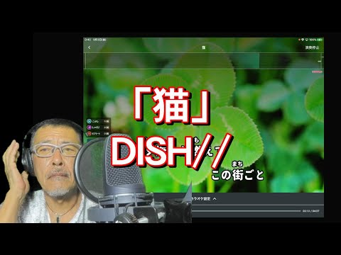 還暦のおっさんが歌う 「猫」 DISH// ♭4（ガイド歌詞付）uchan歌ってみた！