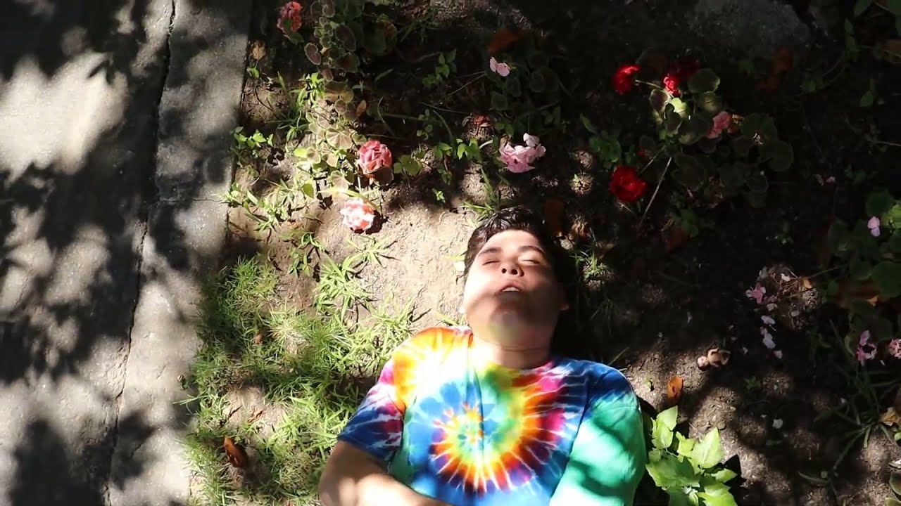 joshiguess - flower field (official music video)