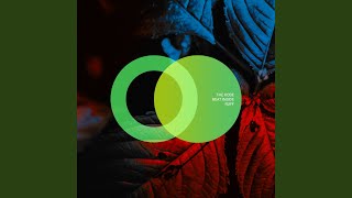 Forgotten Sign (Original Mix)