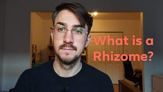 What is a Rhizome? | Gilles Deleuze and Félix Guattari | Keyword