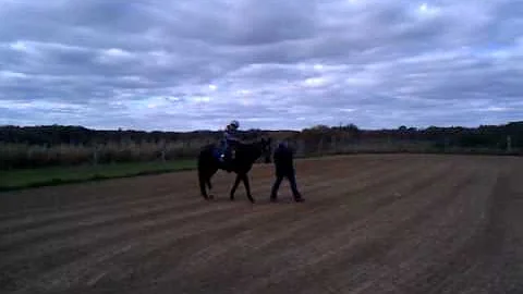 Culver kids riding horse