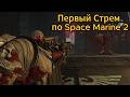 Первый стрим Space Marine 2 | В ожидании патча 12.0