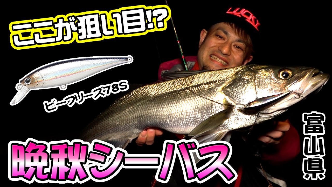 秋 富山湾 晩秋のシーバスはここが狙い目です 半沢幸多 Youtube 秋 富山湾 晩秋のシーバスはここが狙い目です 半沢幸多 Youtube