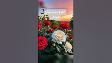 الشيخ محمد صديق المنشاوي رحمه الله    آيات من سورة الواقعة