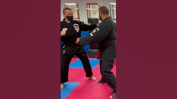 Motion science 😁 #martialarts #selfdefense #kenpo #karate #edparker https://maxdojo.com/