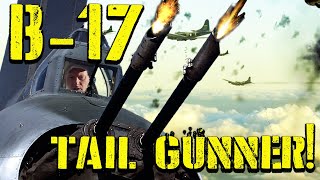 Tail Gunner  IN DEPTH! Most Effective Gunner?