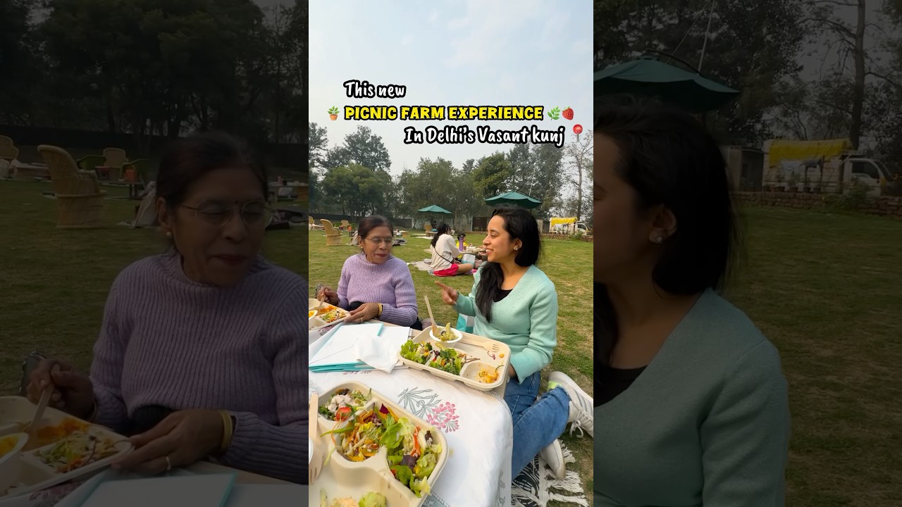 Picnic Farm experience in Delhi 