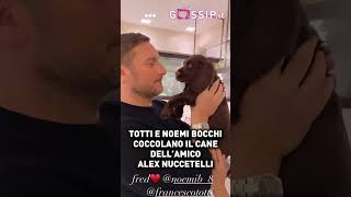 Famous Francesco Totti e Noemi bocchi coccolano il tenero cane dell'amico Nuccetelli #totti #cane #cani Net Worth