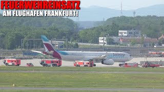 [FLUGHAFENFEUERWEHR FRANKFURT!] - Einsatz nach Sicherheitslandung eines A330 von Eurowings Discover