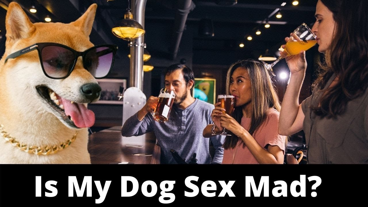 Doog sex