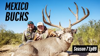 Hunting Giant Mexico Mule Deer | Prime Revolution