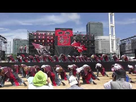 香川大学よさこい連風華　2023こいや祭り1日目メイン会場