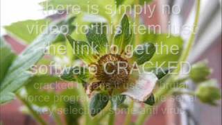 website x5 v8 evolution crack   serial key ws5v_exe