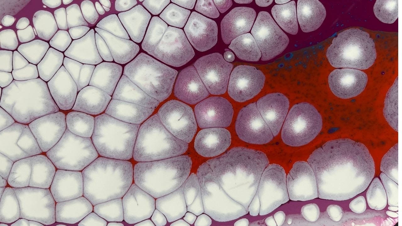 Beautiful Pearls~ Acrylic Pouring Art~ ASMR Fluid Art by Artfornia